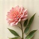 Emblema botánico de Rosa de los Vientos